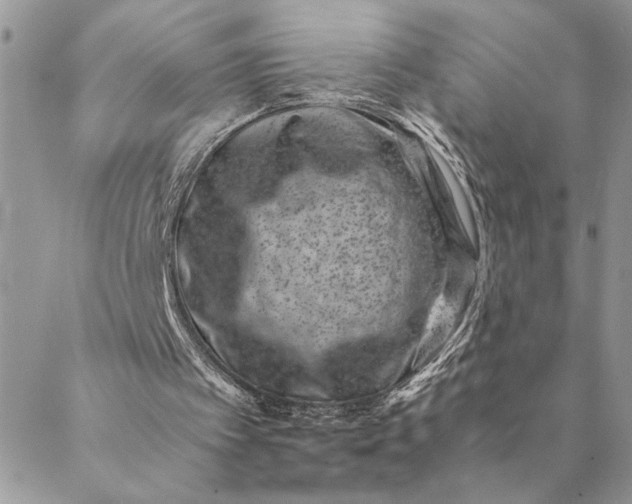 X0000088720097200706141623