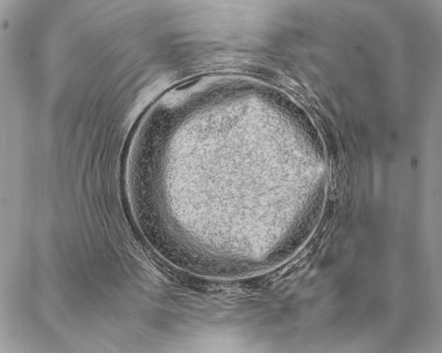 X0000088720099200706141623