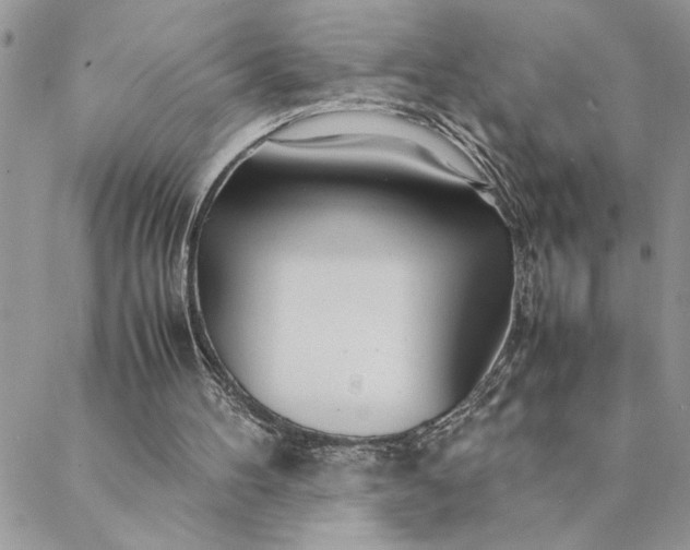 X0000088720100200706141623