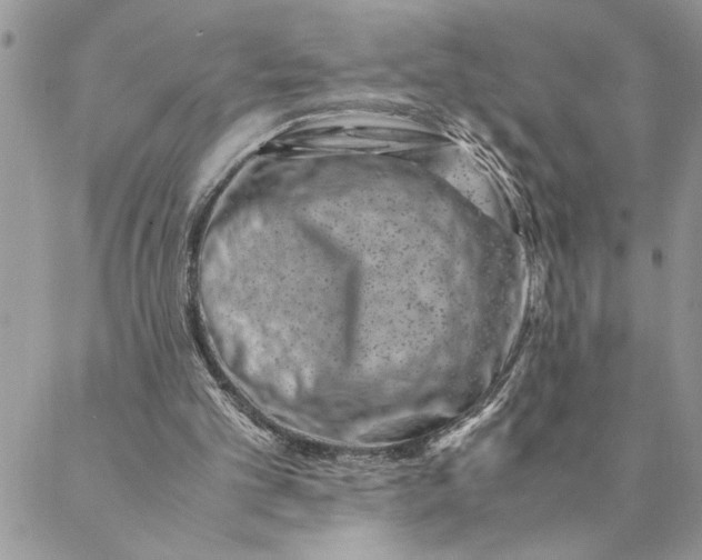 X0000088720101200706141623