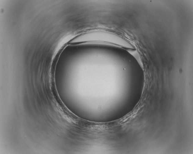 X0000088720102200706141623