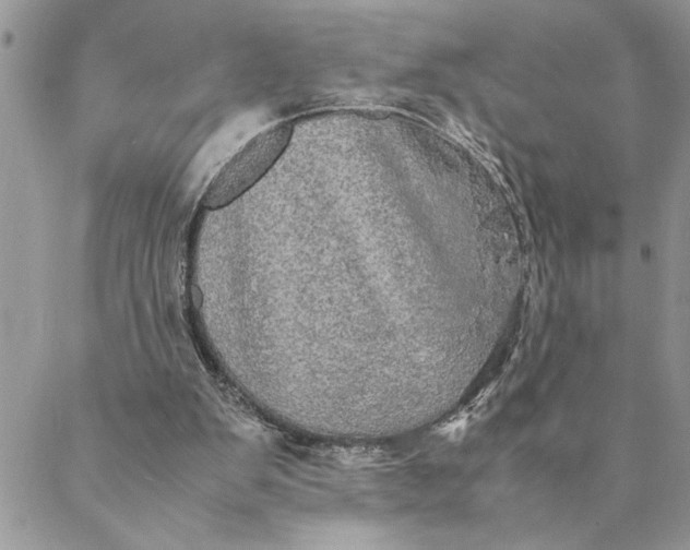 X0000088720103200706141623