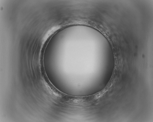 X0000088720104200706141623