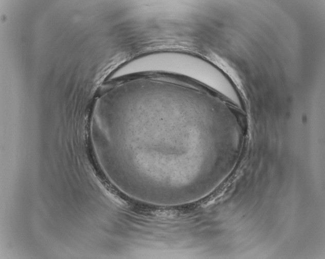 X0000088720105200706141623