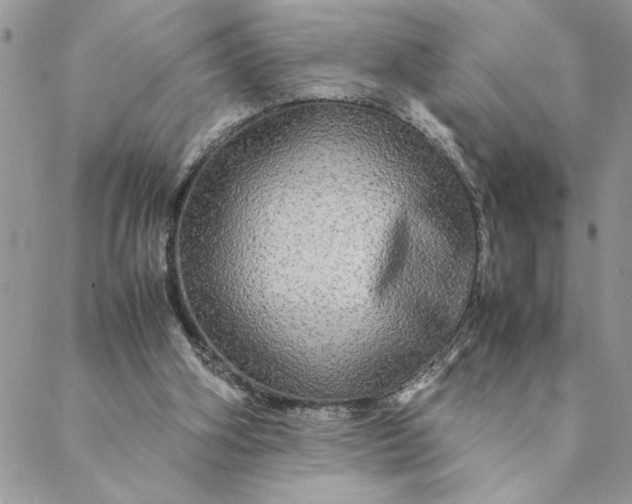 X0000088720106200706141623