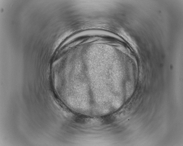 X0000088720107200706141623