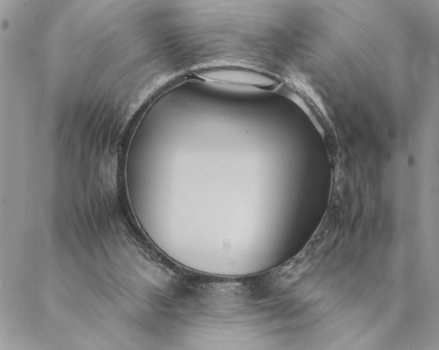 X0000088720108200706141623