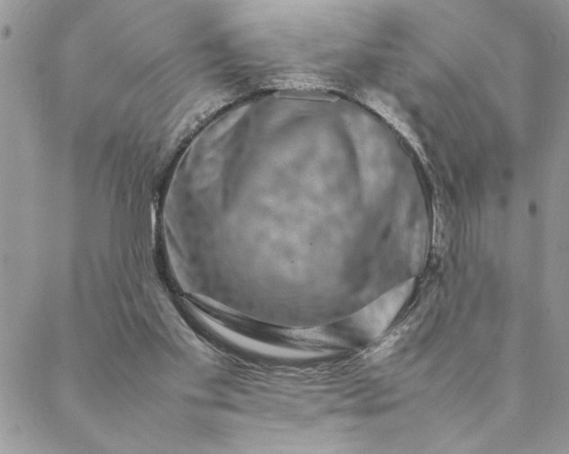 X0000088720109200706141623