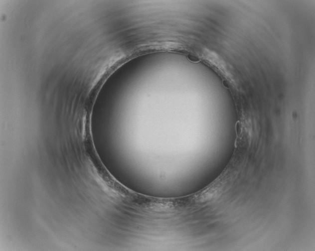 X0000088720110200706141623