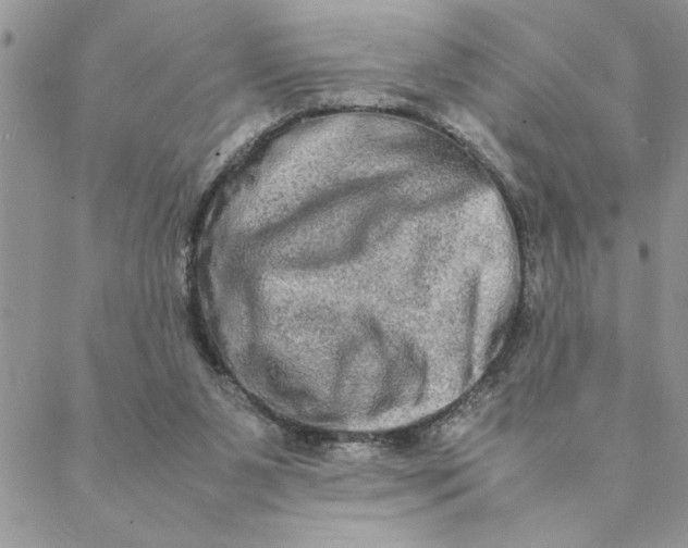 X0000088720111200706141623