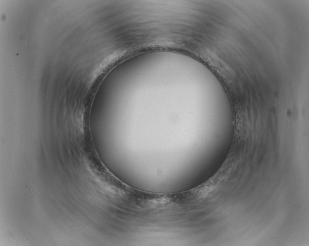 X0000088720112200706141623