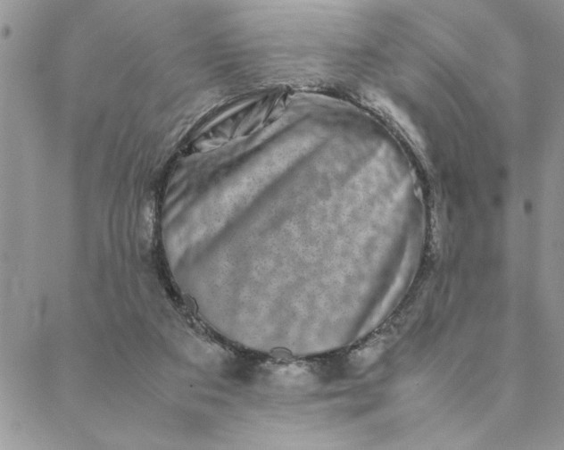 X0000088720113200706141623