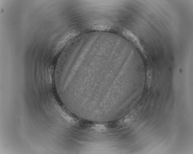 X0000088720114200706141623