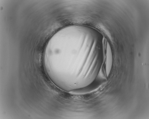 X0000088720115200706141623