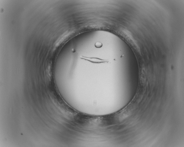 X0000088720116200706141623