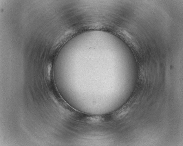 X0000088720118200706141623