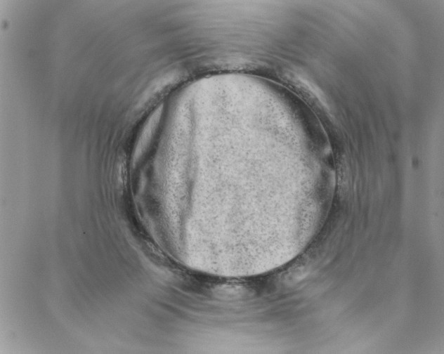 X0000088720119200706141623