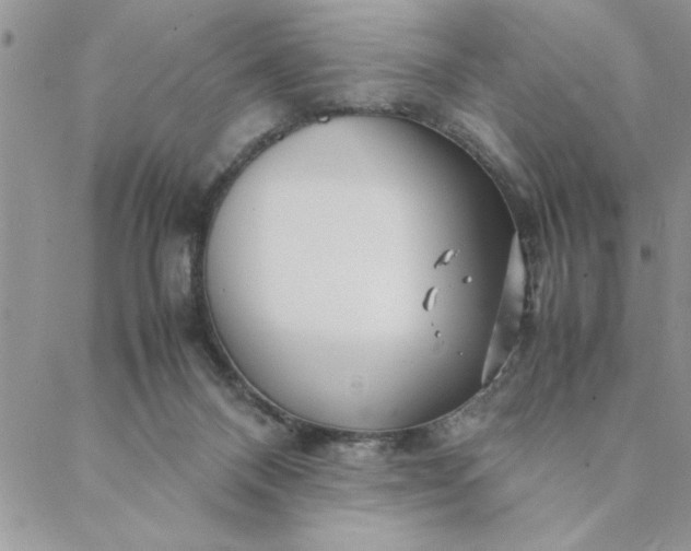 X0000088720120200706141623