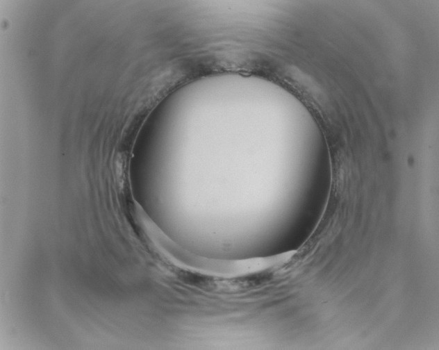 X0000088720121200706141623