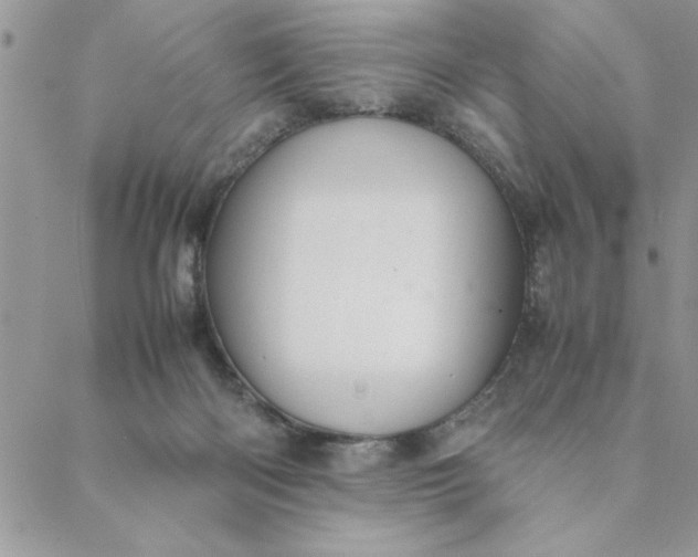 X0000088720122200706141623