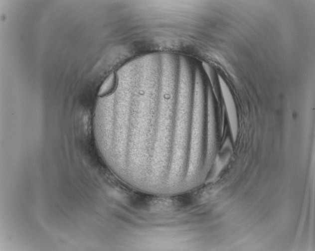 X0000088720123200706141623