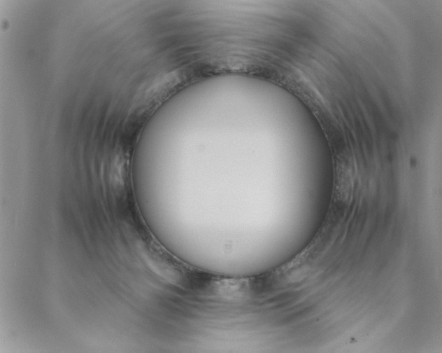 X0000088720126200706141623