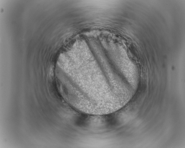 X0000088720127200706141623