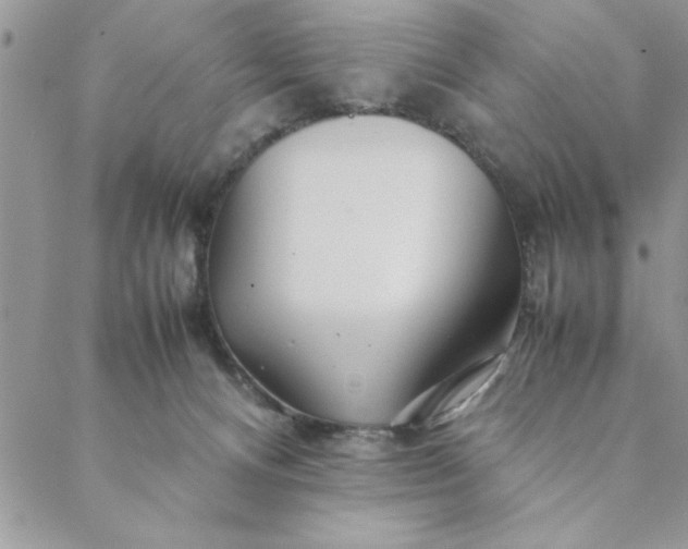 X0000088720128200706141623