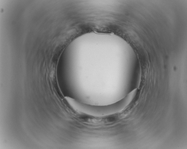 X0000088720129200706141623