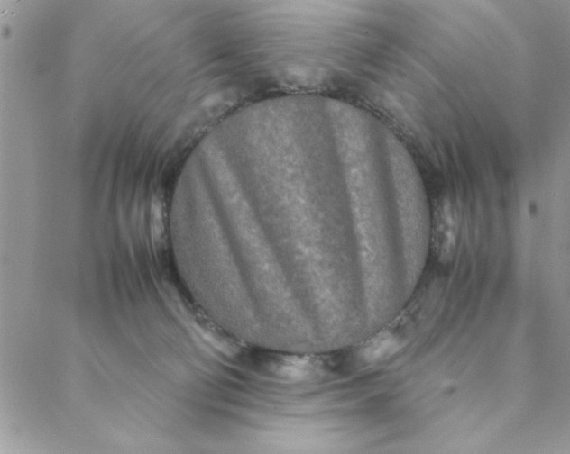 X0000088720130200706141623