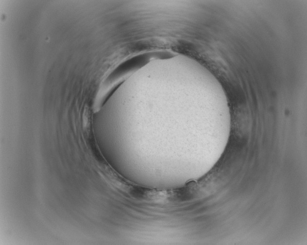 X0000088720131200706141623