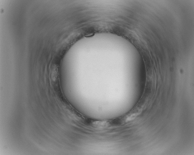 X0000088720133200706141622