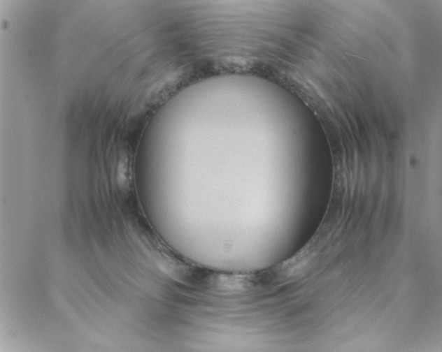 X0000088720134200706141622