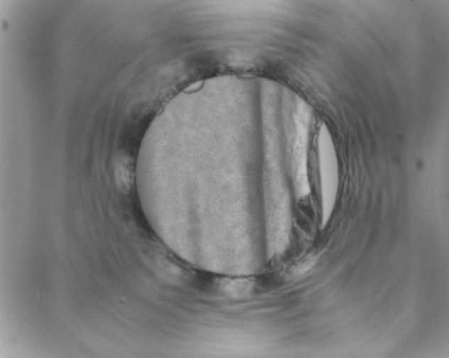 X0000088720135200706141622