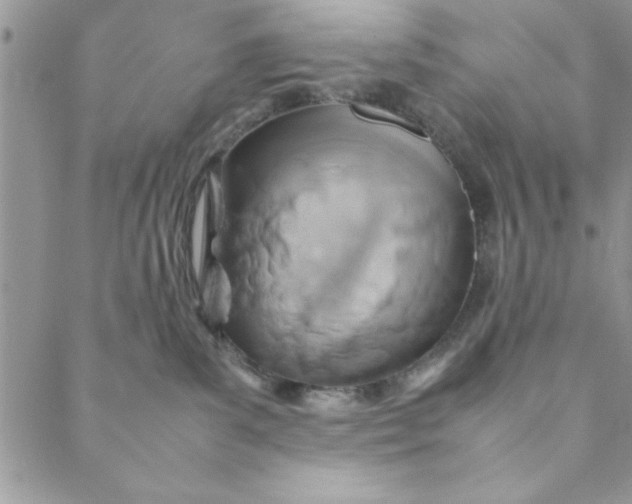 X0000088720139200706141622