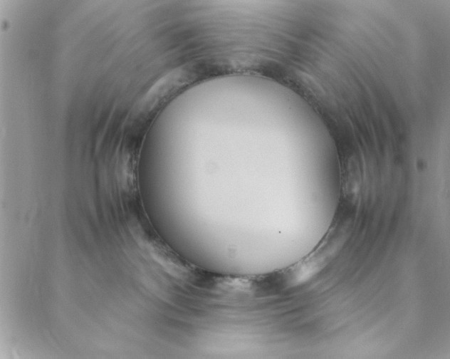 X0000088720140200706141622