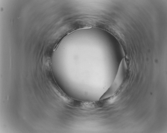 X0000088720141200706141622