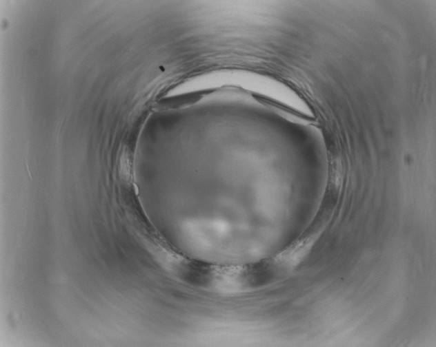 X0000088720143200706141622