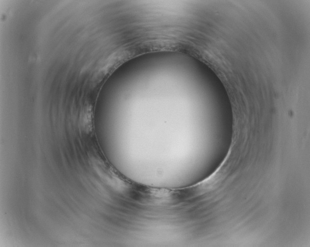 X0000088720144200706141622