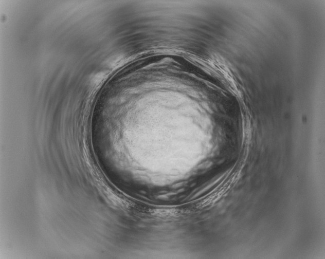 X0000088720145200706141622