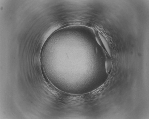 X0000088720147200706141622