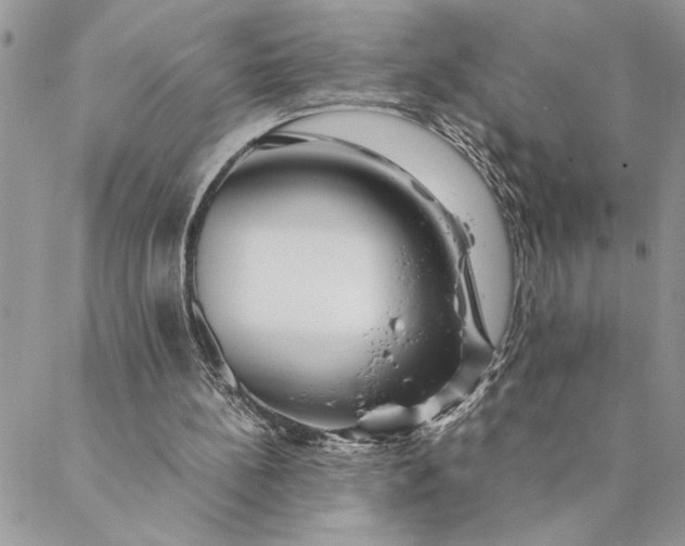 X0000088720148200706141622