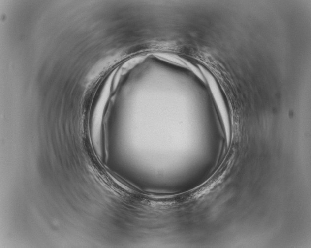 X0000088720149200706141622