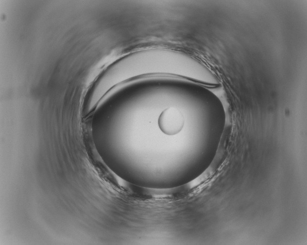 X0000088720150200706141622