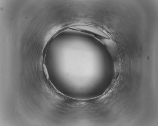 X0000088720152200706141622