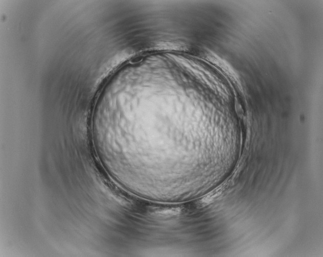 X0000088720155200706141622