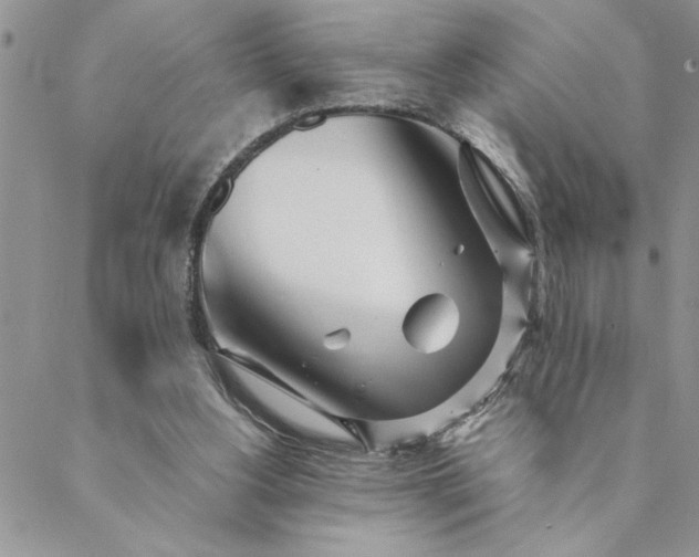 X0000088720156200706141622