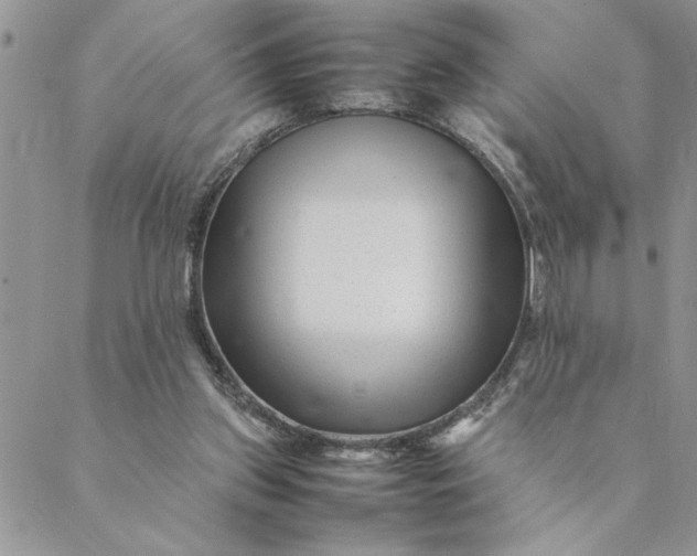 X0000088720157200706141622