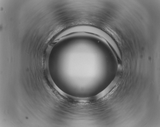 X0000088720158200706141622