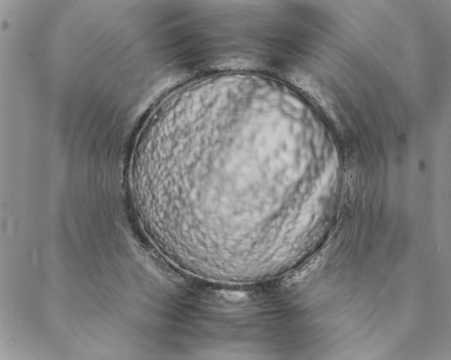 X0000088720159200706141622